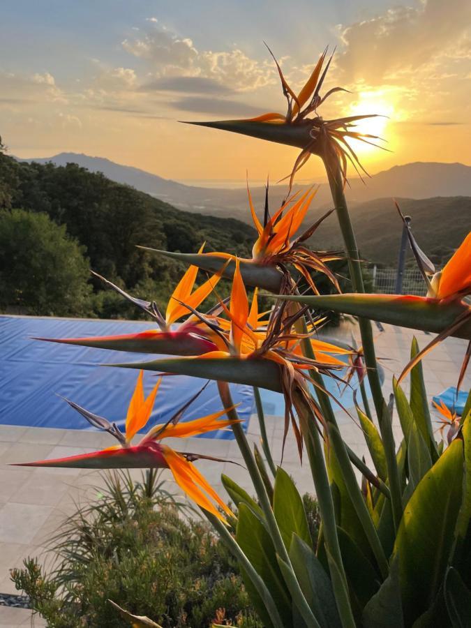 Villa U Tramontu Granace Eksteriør bilde